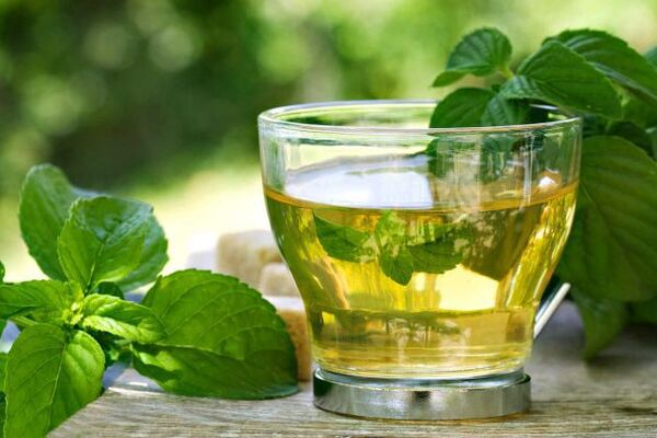 Boldo: mucho más que un té digestivo