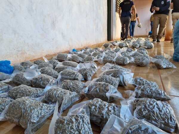 Diario HOY | Marihuana tipo "cripy" es incautada en Pedro Juan Caballero