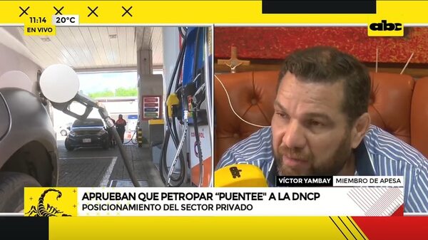 Apesa, con “cautela y temor” por el “puenteo” de Petropar a Contrataciones - Nacionales - ABC Color