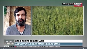 Absuelto pedirá indemnización y el dinero lo destinaría al estudio del cannabis medicinal - Megacadena — Últimas Noticias de Paraguay