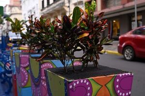 Delincuencia en el microcentro: enrejan plantas para que no se las roben - Nacionales - ABC Color