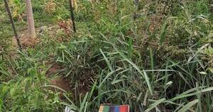 La Nación / Encuentran pertenencias de la docente asesinada en un callejón en Yby Yaú