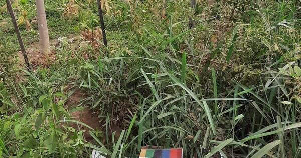 La Nación / Encuentran pertenencias de la docente asesinada en un callejón en Yby Yaú