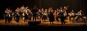 La OCMA y Los Orrego regresan al Municipal - Música - ABC Color