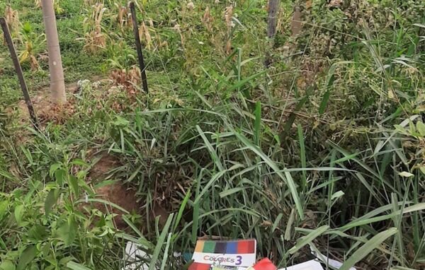 Encuentran pertenencias de la docente asesinada en Concepción - Radio Imperio