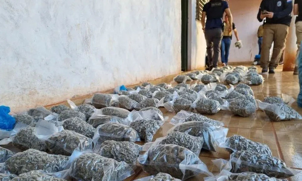 Incautan marihuana tipo "cripy" en Pedro Juan Caballero - OviedoPress