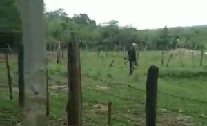 Sobrino es agredido y amenazado de muerte por un familiar en San José de los Arroyos - Noticiero Paraguay