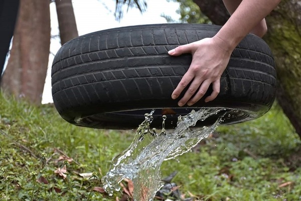 Diario HOY | Ante aumento de dengue, piden eliminar criaderos de mosquitos