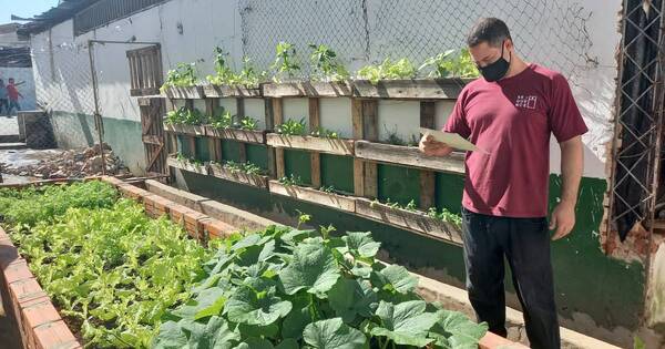 La Nación / Interno de Tacumbú cultiva verduras y hortalizas para otros 125 reos