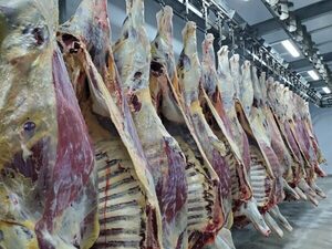 Importaciones chinas de carne vacuna en caída en el primer trimestre
