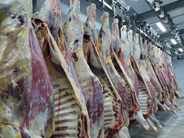 Importaciones chinas de carne vacuna en caída en el primer trimestre