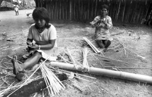 La versión mbya-guaraní de la historia - Cultural - ABC Color