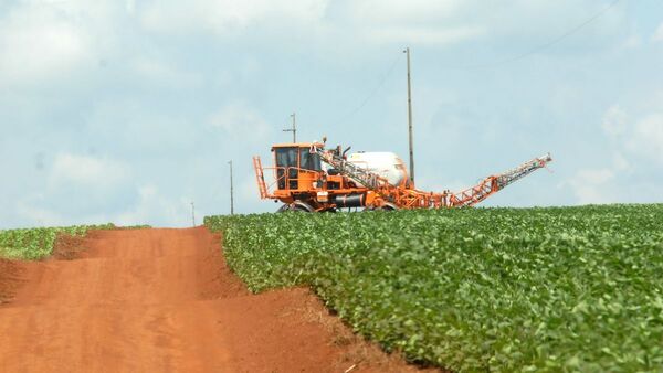 Sojero denuncia invasión y disparos por parte de grupo de indígenas