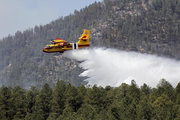 Combaten gran incendio forestal en Estados Unidos | 1000 Noticias