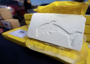 Chile se estrena como punto de salida de cocaína con destino a Europa