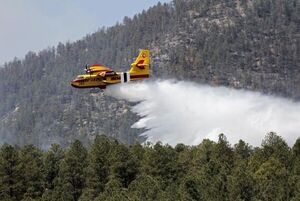 Combaten gran incendio forestal en Estados Unidos