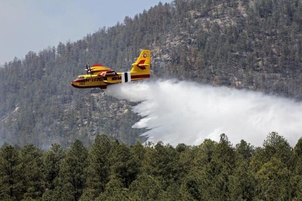 Combaten gran incendio forestal en Estados Unidos