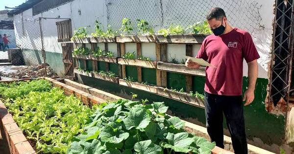 La Nación / Interno de Tacumbú cultiva verduras y hortalizas para reos