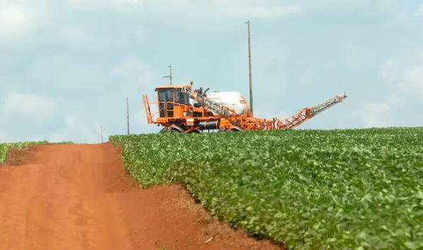 Sojero denuncia invasión y disparos por parte de grupo de indígenas - Noticiero Paraguay