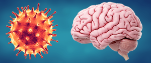 Diario HOY | Estudio muestra efectos del Covid en el cerebro