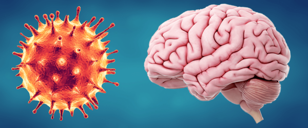 Diario HOY | Estudio muestra efectos del Covid en el cerebro