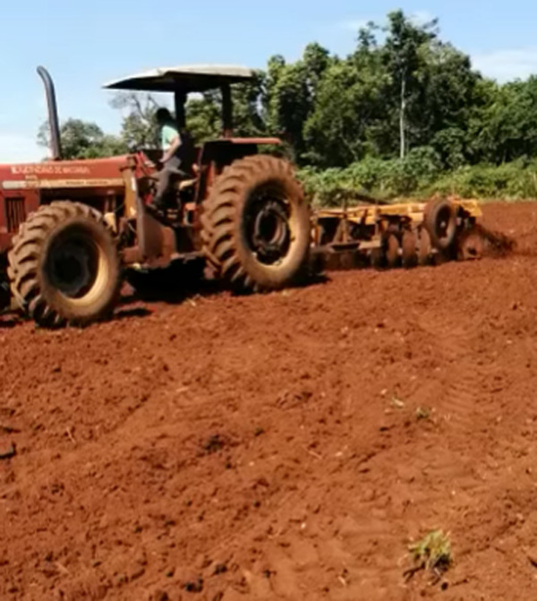 Agricultores de Ñacunday quieren llevar su producción a Asunción - La Clave