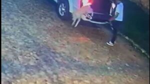 Abandonaron a una perrita y creen que fue por despecho