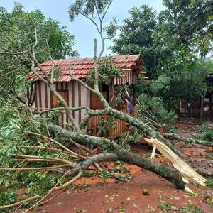 Crónica / [VIDEO] Temporal hizo sarambí a su paso por Cedrales en Alto Paraná