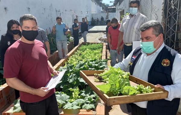 En Tacumbú, un interno hizo una huerta y cultiva alimentos para el penal