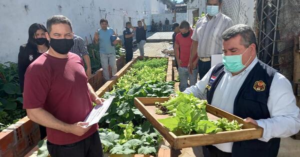 Interno cultiva alimentos en Tacumbú: “Quiero ser una mejor persona”