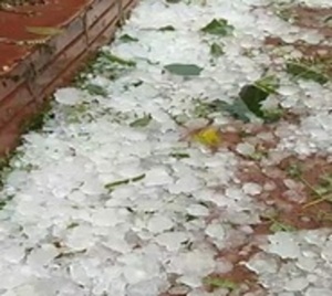 Intensa tormenta con granizada destruye plantaciones en Los Cedrales - Paraguay.com
