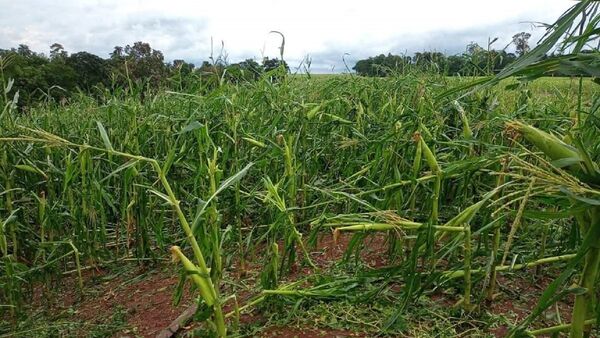 Tormenta con granizo causó destrozos en Los Cedrales 