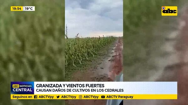 Granizada y viento fuerte en Los Cedrales, Alto Paraná - ABC Noticias - ABC Color