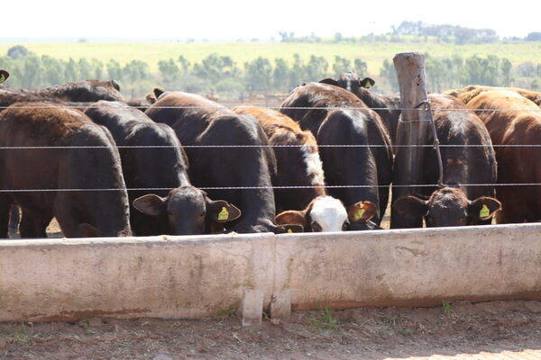 Confinadores de Uruguay piden trabajar en más mercados para no depender de China