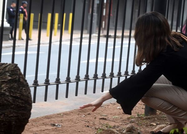 Desidia municipal en Plaza Uruguaya desemboca en repetitivos robos - Nacionales - ABC Color