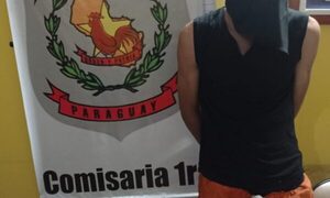 Detienen a delincuente que desvalijó patio de comidas – Diario TNPRESS