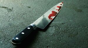 Hallan muerta a una mujer con más de 10 puñaladas - Radio Imperio