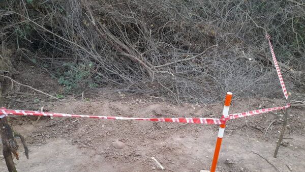 Hallan huesos en la construcción de ruta en el Chaco y creen que son históricos