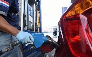 Ejecutivo vetó de forma parcial ley de Petropar