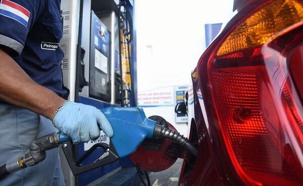 Ejecutivo vetó de forma parcial ley de Petropar