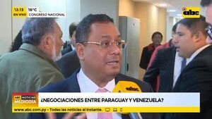 Diputados venezolanos quieren restablecer relaciones diplomáticas con Paraguay - Nacionales - ABC Color