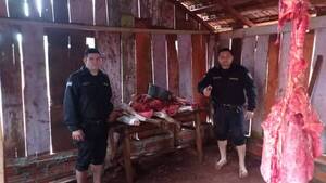 Crónica / Robaron una vaca y la descuartizaron para la venta clandé