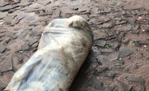 Abandonan a un perro muerto dentro de una bolsa en medio de la calle