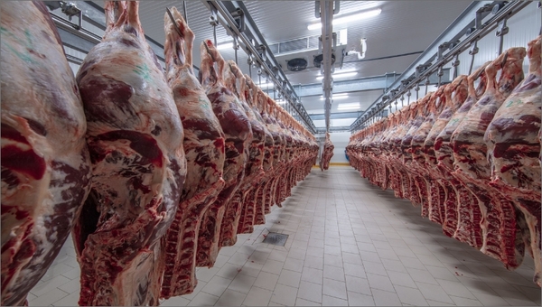 Paraguay continúa ingresando más divisas a pesar de menor volumen de carne exportada