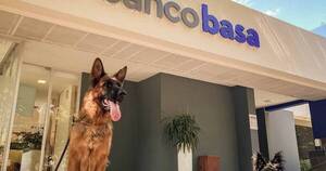 La Nación / Basa es Pet Friendly, se puede ir con la mascota