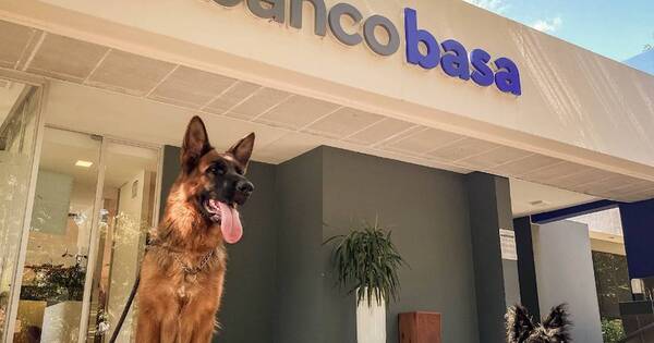 La Nación / Basa es Pet Friendly, se puede ir con la mascota