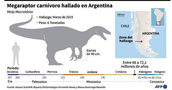 La Nación / Megaraptor más grande habitó el sur argentino