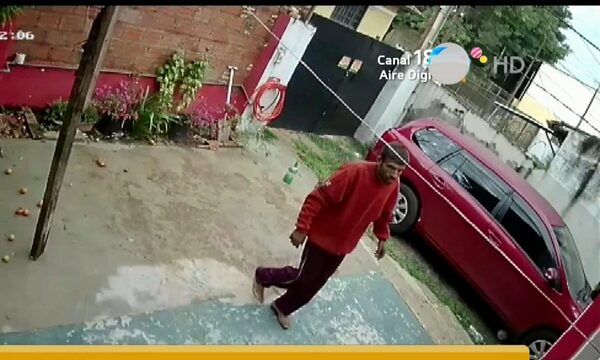 Supuestos recicladores robaron sillones de alto valor en Lambaré | Telefuturo