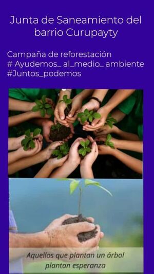 Campaña de reforestación es impulsada por Junta de Saneamiento del barrio San Pedro Curupauty