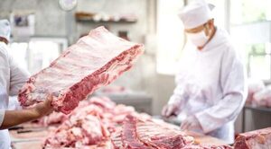 EN CUATRO MESES, PARAGUAY EXPORTÓ 96.000 TONELADAS DE CARNE